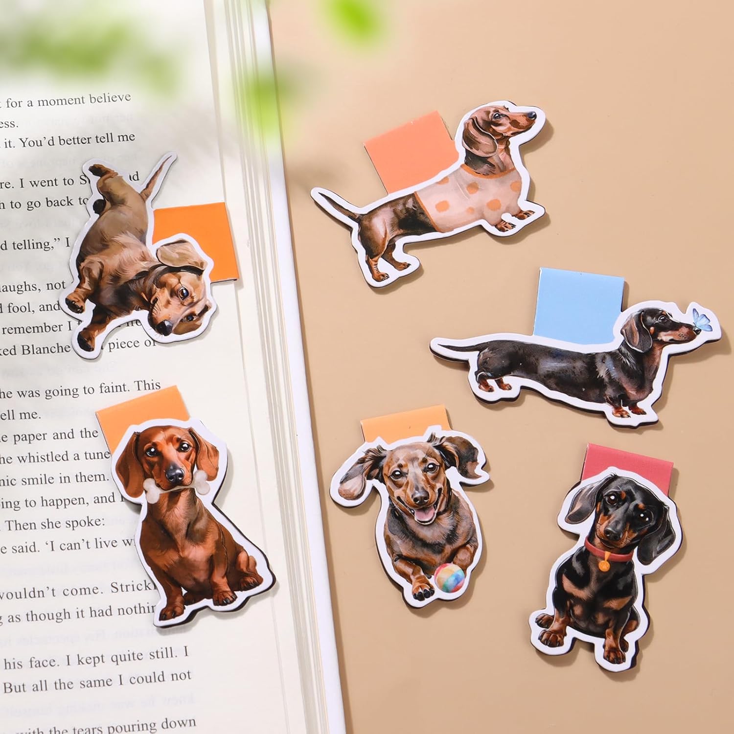 6/12 Segnalibri magnetici impe - Bookmark Magnetic Clip recensione e prezzo